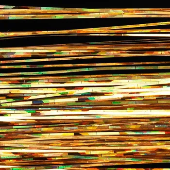 Spectra Flash HENDS SF02 oranžová