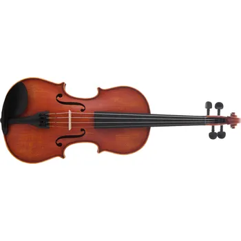 Smyčcový nástroj Antoni ASV44