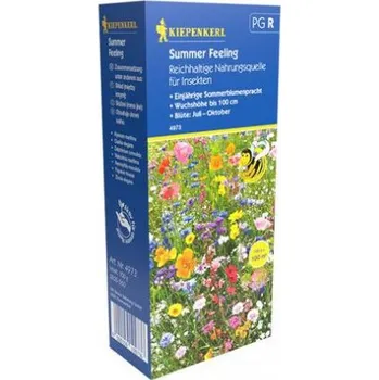 Semeno Květinová směs Summer Feeling, Kiepenkerl, balení 100 g