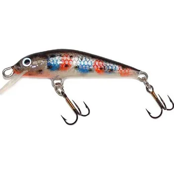 Umělá nástraha Rapy-RSP/EU Wobler BLEAK 5cm FL pstruh duhový