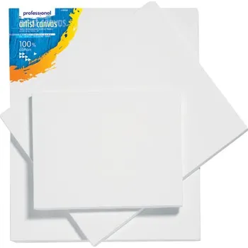 Malířské plátno JUNIOR Professional 80x10 cm