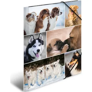 Archivační box Deska s gumičkou A3 karton - psi