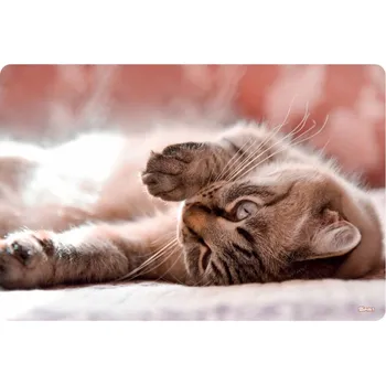 Psací podložka Podložka na stůl 60x40 cm - Little Cat