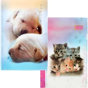 Obal L - DF10 J dětský design