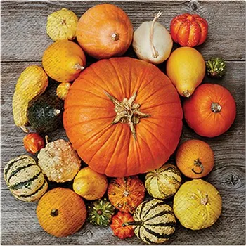 Papírový ubrousek Ubrousky PAW L 33x33cm Pumpkin Composition