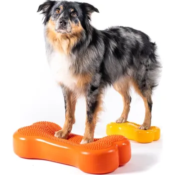 tréninková pomůcka pro psa FitPAWS Standard Bone Barva: Zelenomodrá