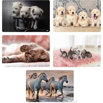 Psací podložka Podložka na stůl 60x40 cm - Animal (mix 5 dizajnů)