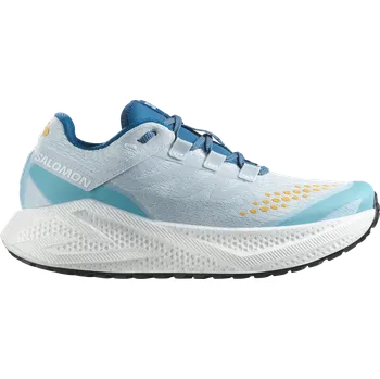 Pánská móda Běžecké boty Salomon AERO GLIDE 3 GRVL l47811-800 Velikost 44,7 EU | 10 UK | 10,5 US | 28 CM