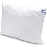Brotex Polštář Klasik 70x90cm 900g se zipem výplň TYČINKY