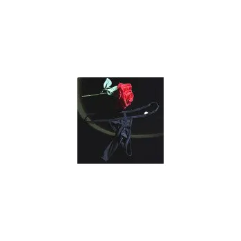 Pánské erotické prádlo Fetish pánská transparentní tanga One Size AL-6011 Barva Černá Fetish zboží B provedení s otevřeným chobotem bdsm-bondage-shop 08595729781436 8595729781436