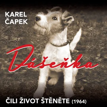 Dášeňka čili život štěněte (1964)
