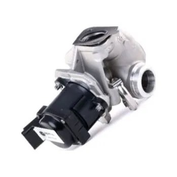 Ventil palivového systému AGR ventil, 710572D