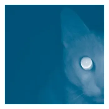 Jen šmouha po nebi - Ivan Binar