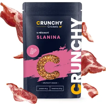Sušené maso Crunchy Cricket slanina 20 g