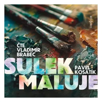 Sulek maluje - Pavel Kosatík
