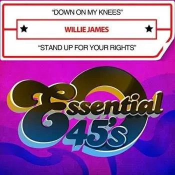 Zahraniční hudba CD Willie Ray James: Down On My Knees / Stand Up For Your Rights 2016