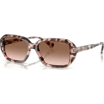 Sluneční brýle RALPH BY RALPH LAUREN RA5325U 605813
