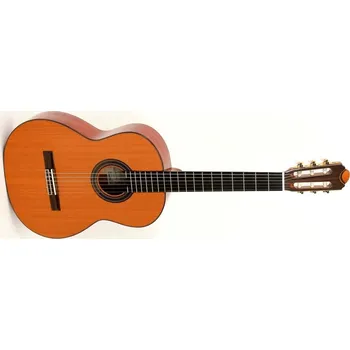 Klasická kytara Pablo Vitaso VCG-130C