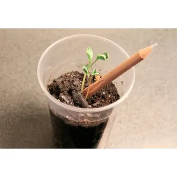 Grafitová tužka Rostoucí tužka SPROUT - pomněnka