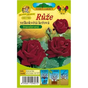 Nohel Garden Růže velkokvětá keřová červená 1 ks