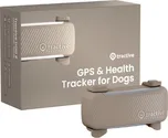 Tractive TRDOG6BR