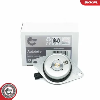 Vačková hřídel Centrální magnet, seřízení vačkového hřídele ESEN SKV 39SKV902