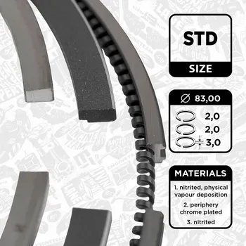 Píst motoru Sada pístních kroužků ET ENGINETEAM R1002700