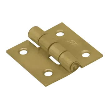 pant Závěs stavební 60 x 55 mm Z60 (Pant, závěs pro na dveře vrata)