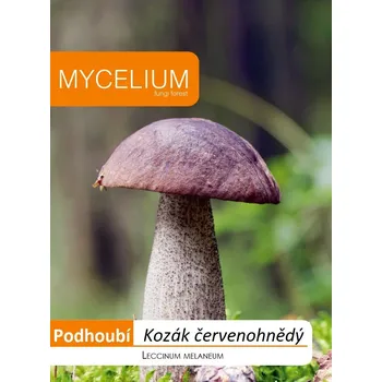 Sazenice Kozák červenohnědý 10g - podhoubí