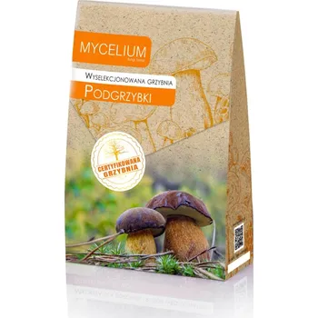 Sazenice Směs suchohřibů - vybrané podhoubí (sadba) 120ml