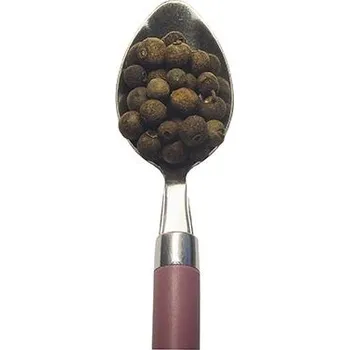 Koření Nové koření celé 500g