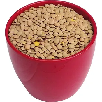 Luštěnina Čočka zelená 1kg