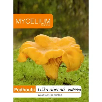 Sazenice Liška obecná (kuřátka) 10g - podhoubí