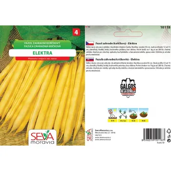 Semeno 10118/x Fazol Elektra 20g