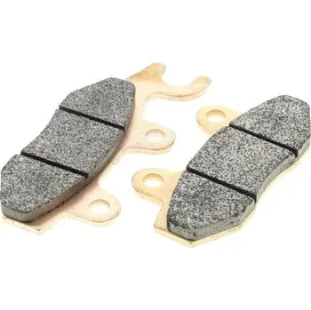 Brzda pro motocykl Polini Brzdové destičky Polini Metropolis 400 ABS 174.2063