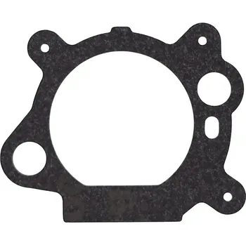 Těsnění vzduchového filtru pro motory Briggs & Stratton Quantum s palivovým čerpadlem (OEM 272653)