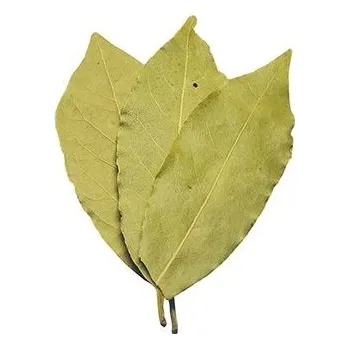 Koření Bobkový list 100g