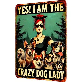 Plechová cedule BAF Kovová cedule Dáma se psi - 20 x 30 cm