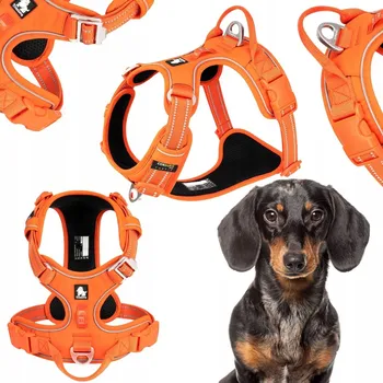 Postroj pro psa POSTROJ PRO PSA EASY WALK TRUELOVE FRONT LINE PREMIUM CORDURA ORANŽOVÝ S