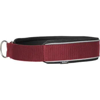 Obojek pro psa BACK ON TRACK Obojek pro psy Charlie Back on Track, burgundy 40 cm