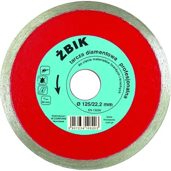 Řezný kotouč Diamantový kotouč In Corpore 11010 115x22,2 mm