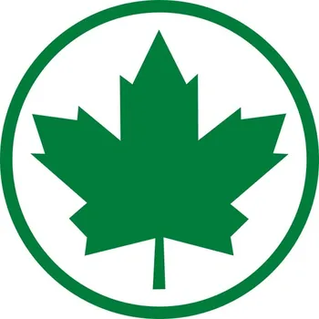 Samolepicí dekorace na vozidlo Zelená matná nálepka 11x11 cm MGDesign fólie Oracal