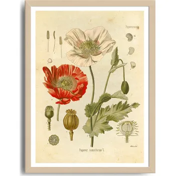 Obraz Plakát obraz bez rámu 42 x 59,4 cm