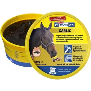 solný liz Liz pro koně Horslyx Garlic - 650g