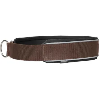 Obojek pro psa BACK ON TRACK Obojek pro psy Charlie Back on Track, hnědý 30 cm