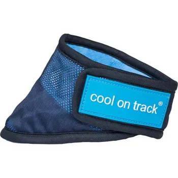 Obojek pro psa BACK ON TRACK Šátek chladicí pro psy Back on Track, blue 30-37 cm