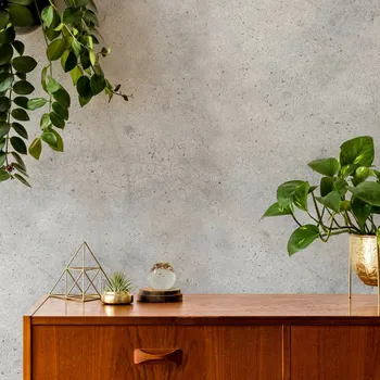 Fototapeta Tapeta Samolepicí Šedá BETON Vzhled omítky do obýváku