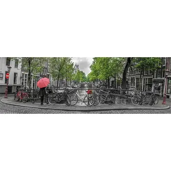 Obraz Plakát Amsterdam Tulipány a kola Nerámovaný Plakát x 30,5 cm
