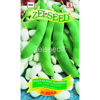 Semeno Fazol tyčkový na semeno Albena (velkozrnný, švábka, bílý)