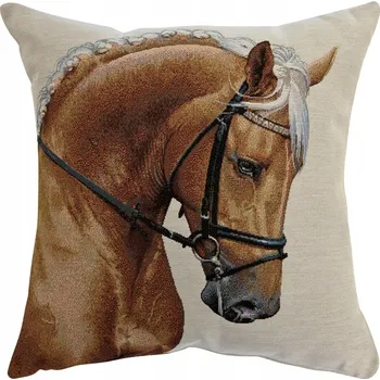 Povlak na polštářek Dekorační povlak na polštář 45x45 cm Kůň